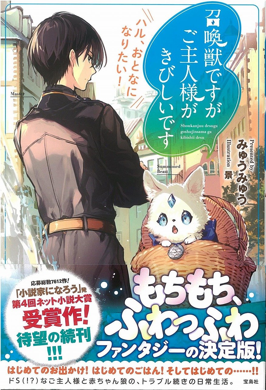 召喚獣ですがご主人様がきびしいです ハル おとなになりたい Amazon Com Books