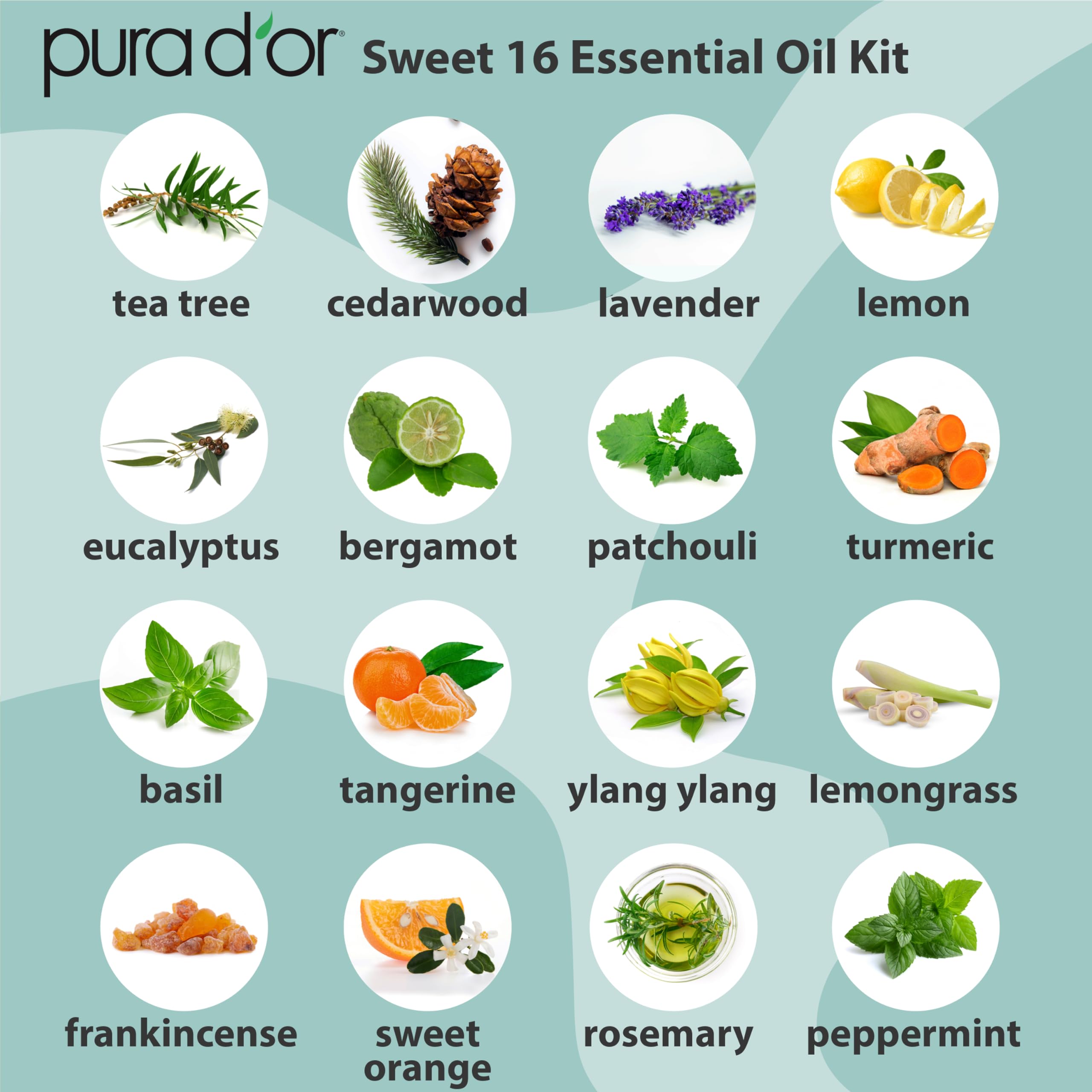 PURA D'OR Organic Sweet16 Essential Oils Set - 16x 10mL Wood Box Aromatherapy Gift Set - 100% Pure Therapeutic Grade for Relaxation and Wellness (Lavender, Rosemary, Turmeric, Ylang Ylang & More)