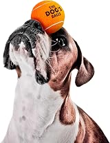 The Dog's Balls Dog Tennis Balls Orange Medium 6-Pack Non-Abrasive Felt view 3