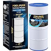 POOLPURE PLF100A Pool Filter Replaces Pentair CC100, CCRP100, PAP100, PAP100-4, Ultral-C3, Unicel C-9410, R173215, Filbur FC-0686, 59054200, 160316, 160354, Predator 100, L x OD:23 5/8" x 10 1/16"