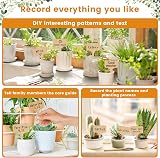 KINGLAKE 30 Pcs Bamboo Plant Labels with Marker Pen 10 x 6 cm T-Type view 4