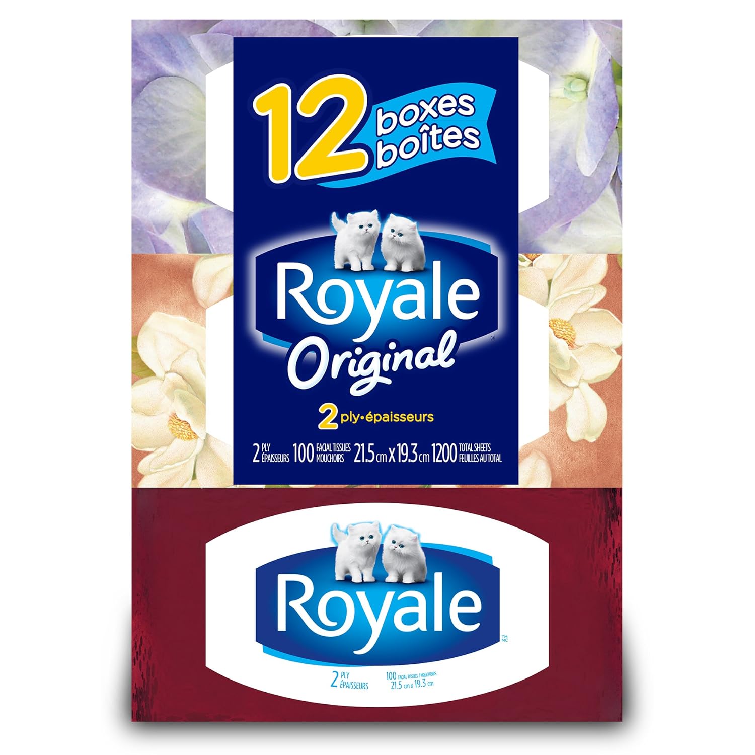 Royale Facial Tissue Soft and Strong 2ply 100 Sheets Per Box 12