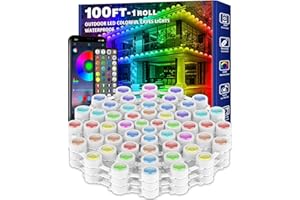 SINLEY 100FT Permanent Outdoor RGB Lights,Waterproof Smart LED Eaves Lights with App/Remote Control,for Christmas and All Holiday Decor,Daily and Accent Lighting,House Roof and Garden Lighting