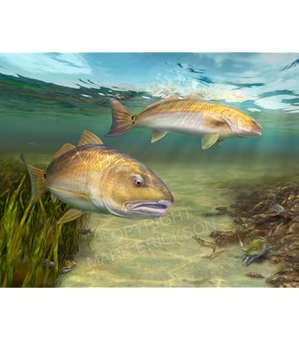 アートパネル　レッドフィッシュ 新作入荷，人気】 アートパネル レッドフィッシュ