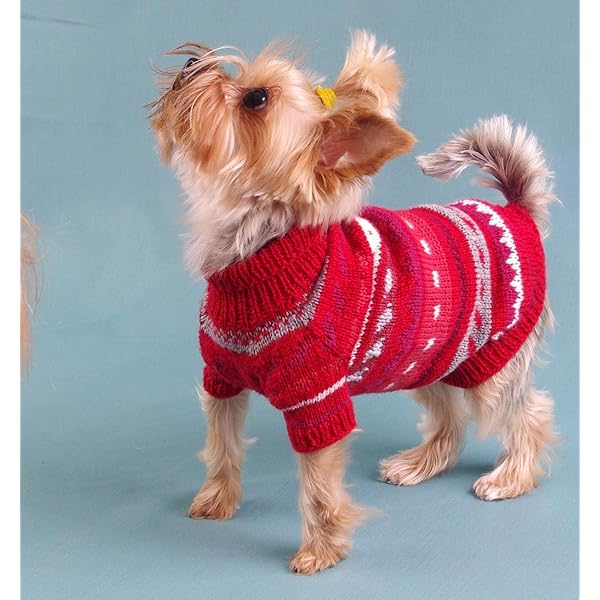 small dog clothes amazon
