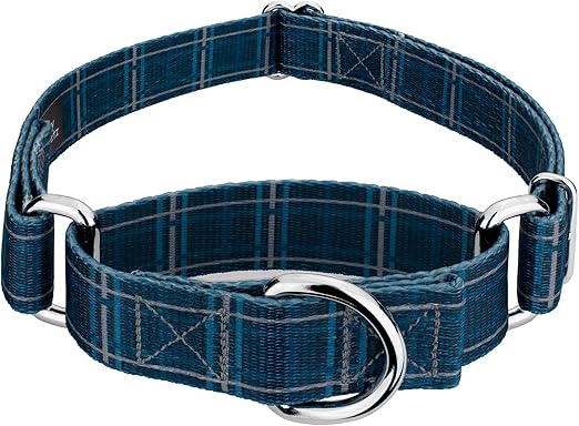 country brook design martingale dog collar