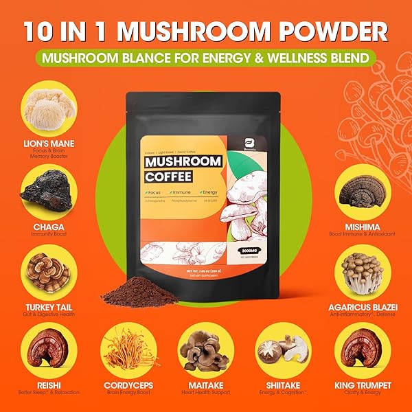 MUSHROOM COFFEE, 10 MUSHROOMS INSTANT COFFEE POWDER – LION’S MANE, REISHI, CHAGA, CORDYCEPS, TURKEY TAIL, SHIITAKE, ASHWAGANDHA, VITAMIN B12 / B6, ARABICA COFFE FOR IMMUNE BOOST, FOCUS & GUT HEALTH
