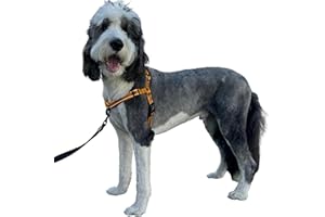 ShawnCo Dream Walk Pro Dog Harness- No-Pull, Comfortable, Adjustable, Easy to Use Pet Halter to Help Stop Pulling for Small, Medium and Large Dogs (Sunset Orange, Medium)