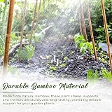 LOIBUYZ Bamboo Canes 5-6ft Heavy Duty Plant Supports for Outdoor Use view 5