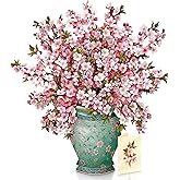 Freshcut Paper Pop Up Cards, Grande Japanese Cherry Blossoms, 18 Inch Life Sized Forever Flower Bouquet 3D Popup Greeting Card, Birthday Cards, Thank You Card, Blank Notecard & Envelope