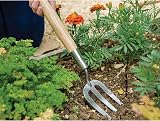 Kent & Stowe Border Hand Fork Stainless Steel FSC Ash Wood Midi Handle view 2