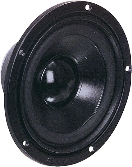 13 cm woofer