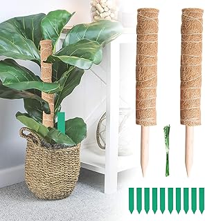 tEEZErshop Pflanzstab Kokos 2 Stück,Rankstab Rankhilfe Blumenstab Kokosstab mit 10 Pflanzenetiketten und 20 Garten-Kabelbinder,Rankhilfen für Kletterpflanzen,Haus Garten Kletterpflanze Erweiterung