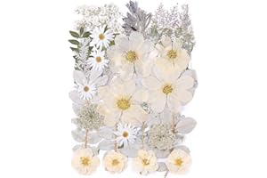 ZMRU 12“ Large Dried Pressed Flowers for Art Crafts, Real Dry Natural Flower Leaf Fruit Bulk for Resin Mold, Cake Decor, Glass Frame (Winter Silver)