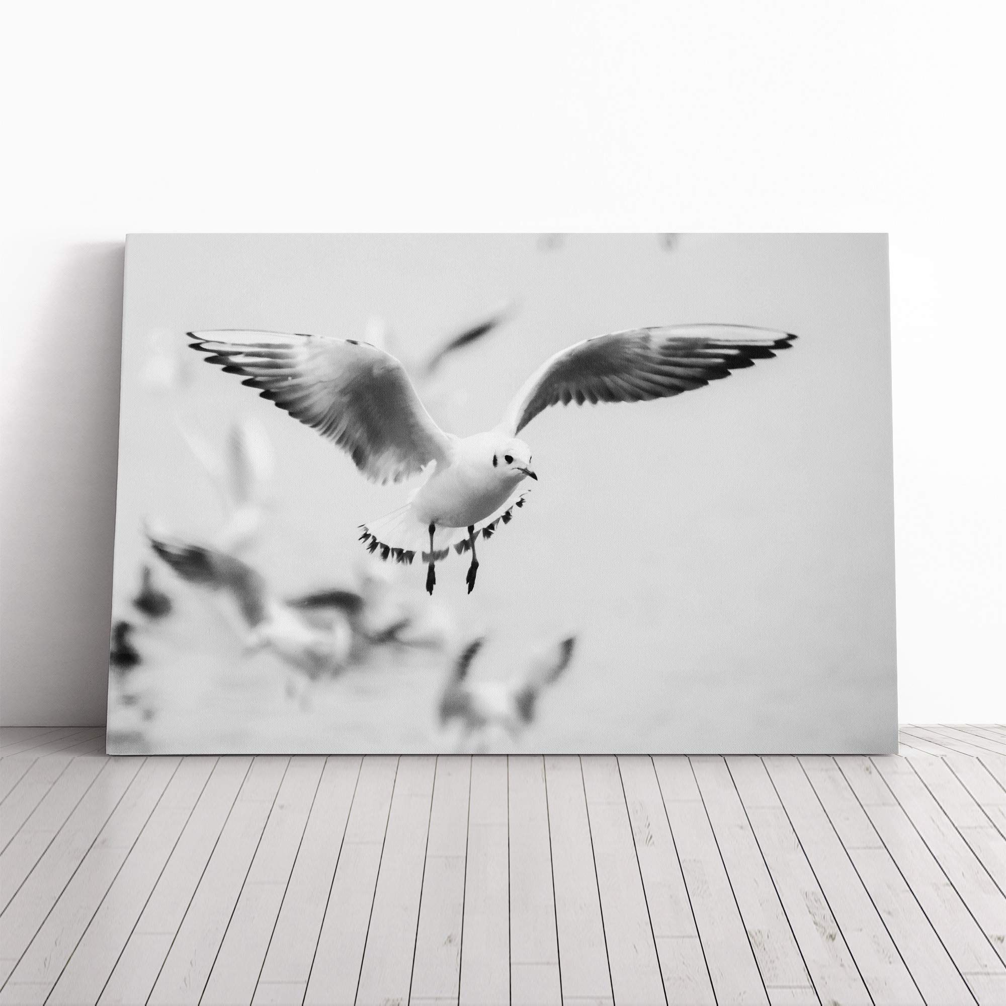 Seagulls Birds Canvas Print | Gallery Wrapped 30mm Frame Wall Art | 20x14 inches | Ready to Hang | Modern Bird Picture | Living Room Bedroom Lounge Office