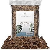 Money Tree Soil (4 Quarts), Potting Mix for Planting/Repotting Pachira Aquatica, All-Natural Custom Soil Blend