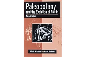 Paleobotany and the Evolution of Plants