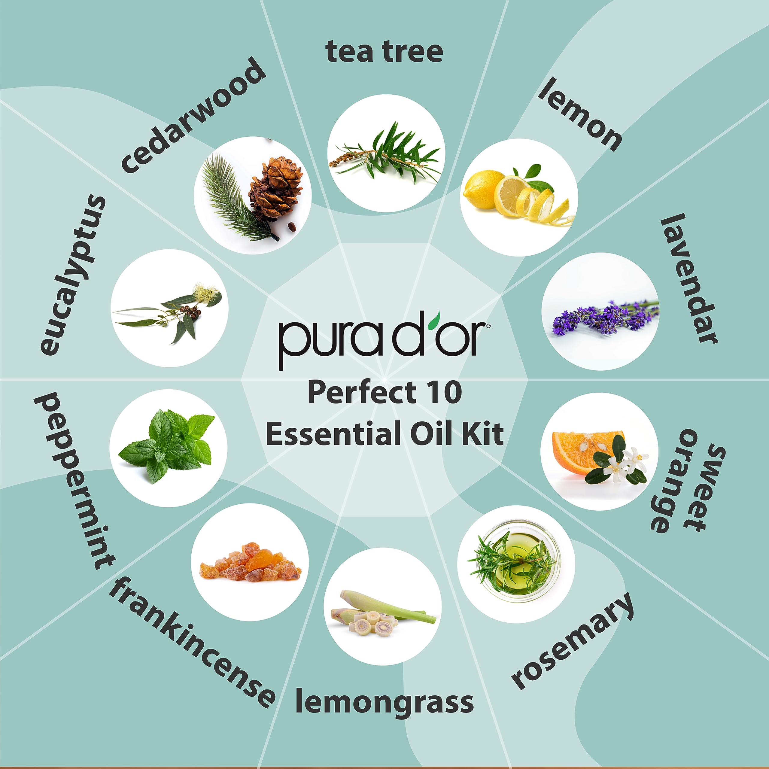 PURA D'OR Organic Perfect10 Essential Oils Set - 10x 10mL Wood Box Aromatherapy Gift Set - 100% Pure Therapeutic Grade for Relaxation and Wellness (Lavender, Peppermint, Eucalyptus, Tea Tree & More)