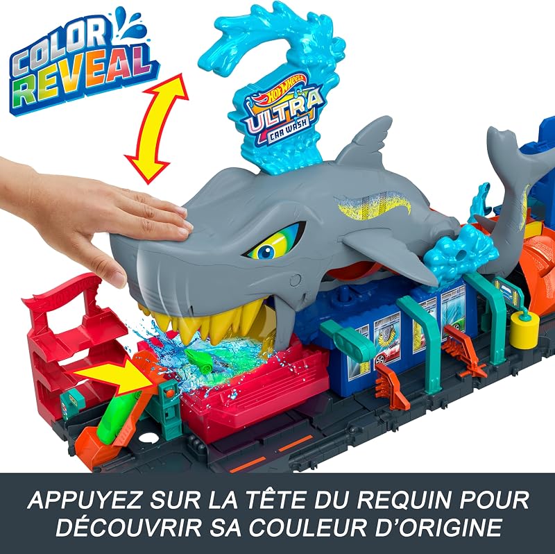 City Station De Lavage Requin