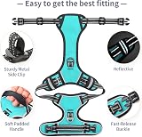 HEELE Dog Harness Padded Handle Reflective 2 Rings Turquoise XL view 4