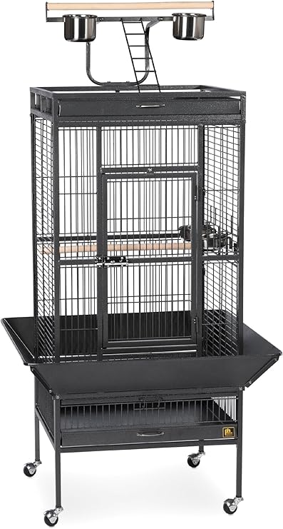 prevue hendryx parrot cage