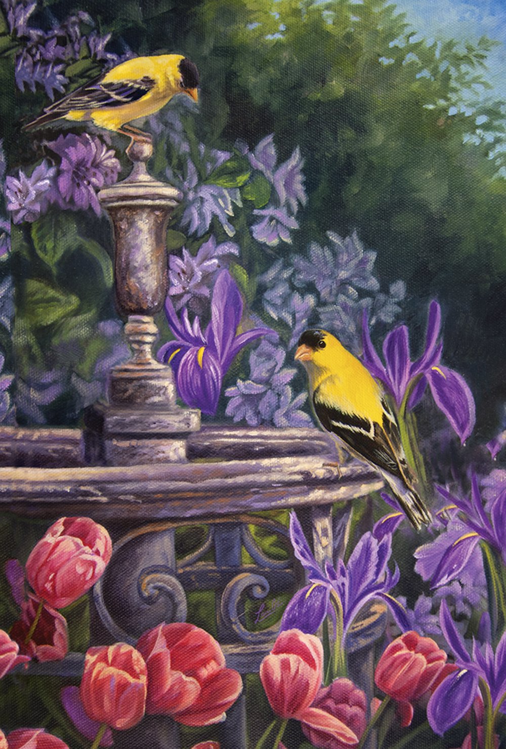Best Iris Flower Garden Flag