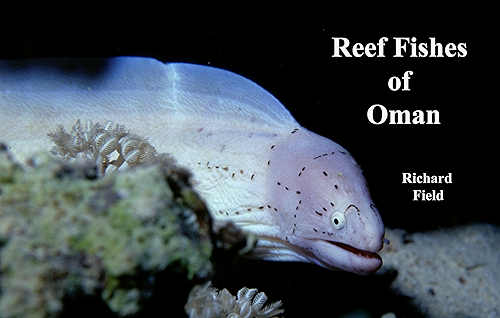 Download Reef Fishes of Oman (English Edition) PDF