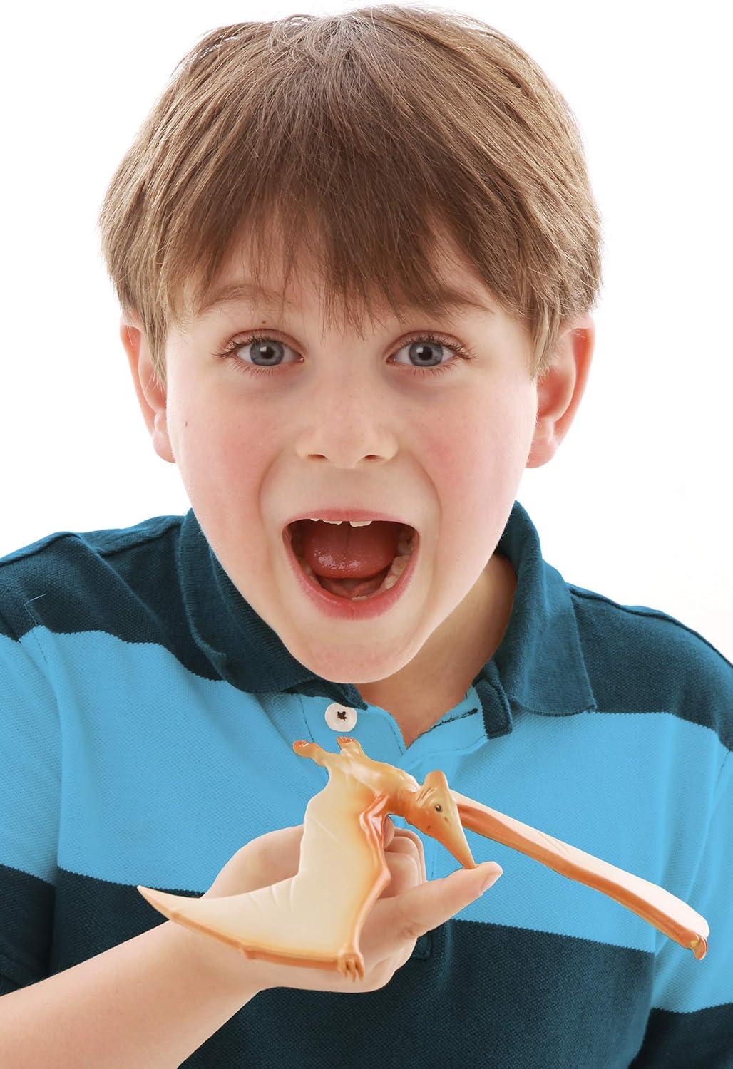 balancing pteranodon