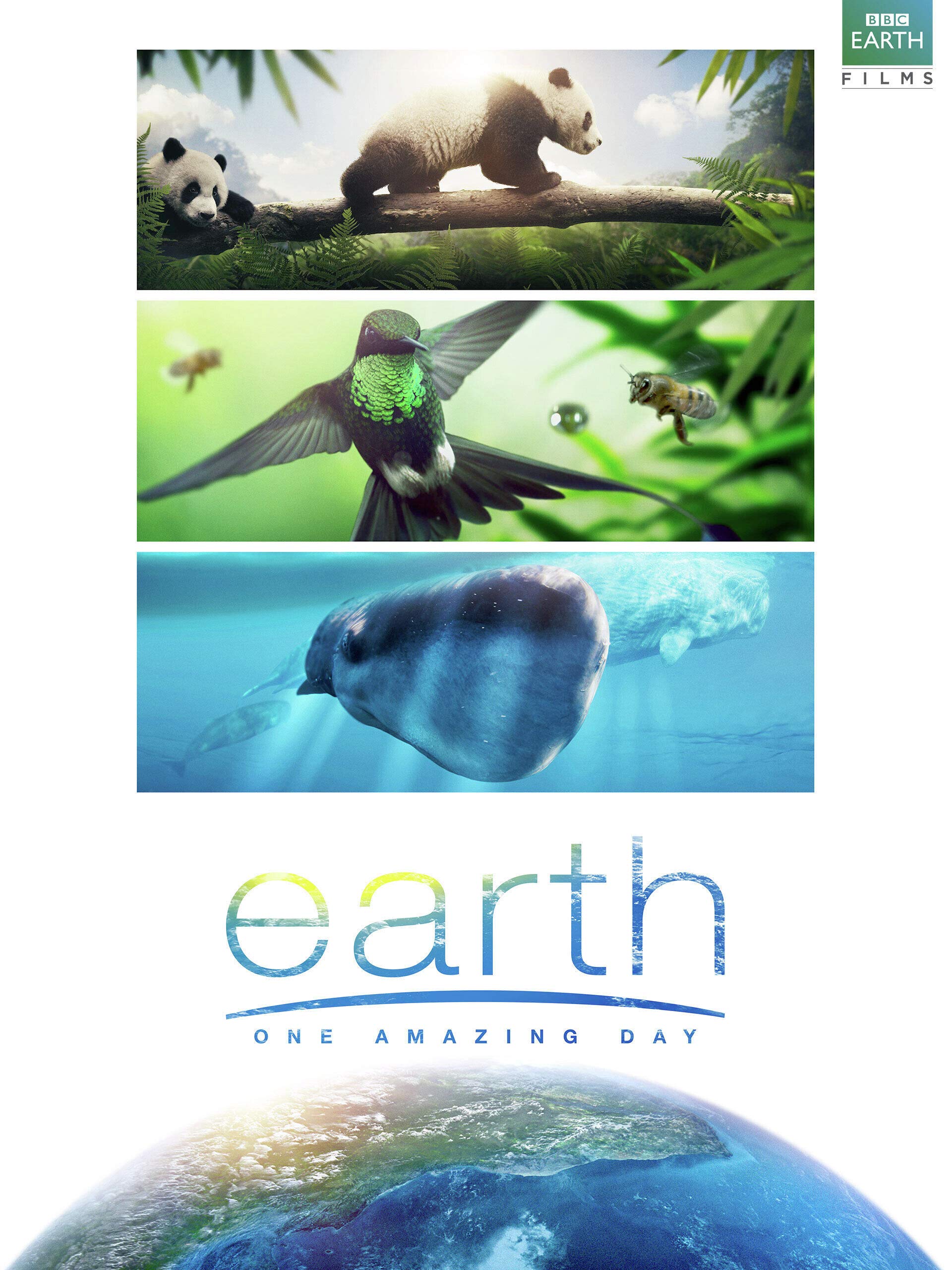 Watch Earth One Amazing Day Prime Video Watch Earth One Amazing Day Prime Video