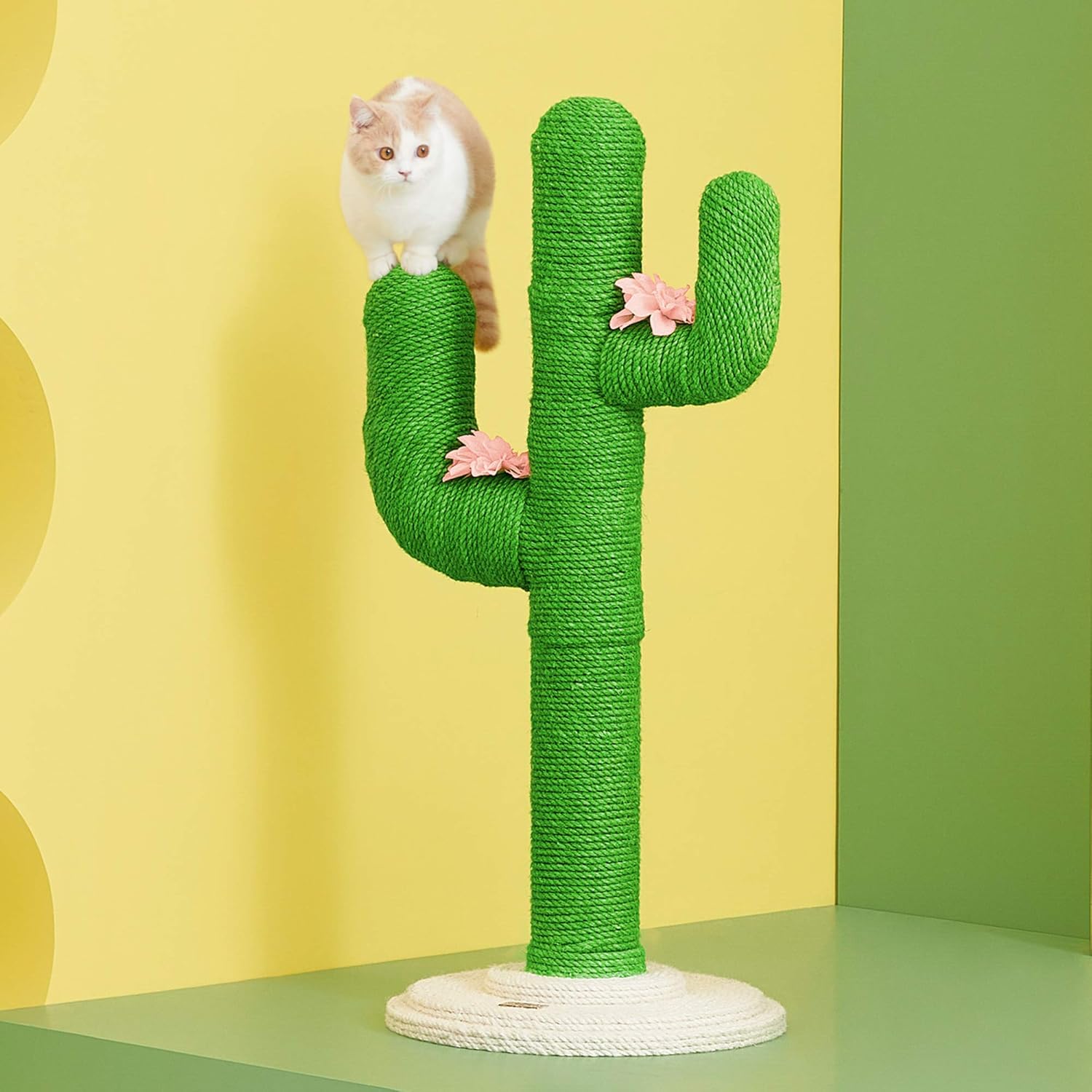 cat cactus scratcher