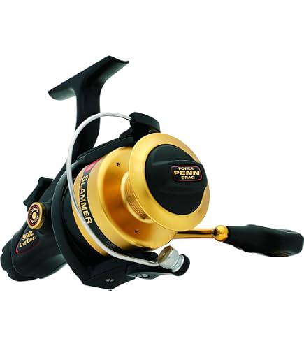 Amazon.com : Penn Gold Label Series Slammer Live Liner