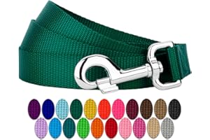 COUNTRY BROOK DESIGN Country Brook Petz - Everyday Nylon Dog Leash - Strong, Durable, Solid Color Leash with Easy to Use Snap - 25+ Colors (1 Inch Wide, 6 Foot, Green)