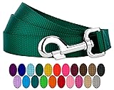 Country Brook Petz 1" Wide Heavy-Duty Nylon Leash