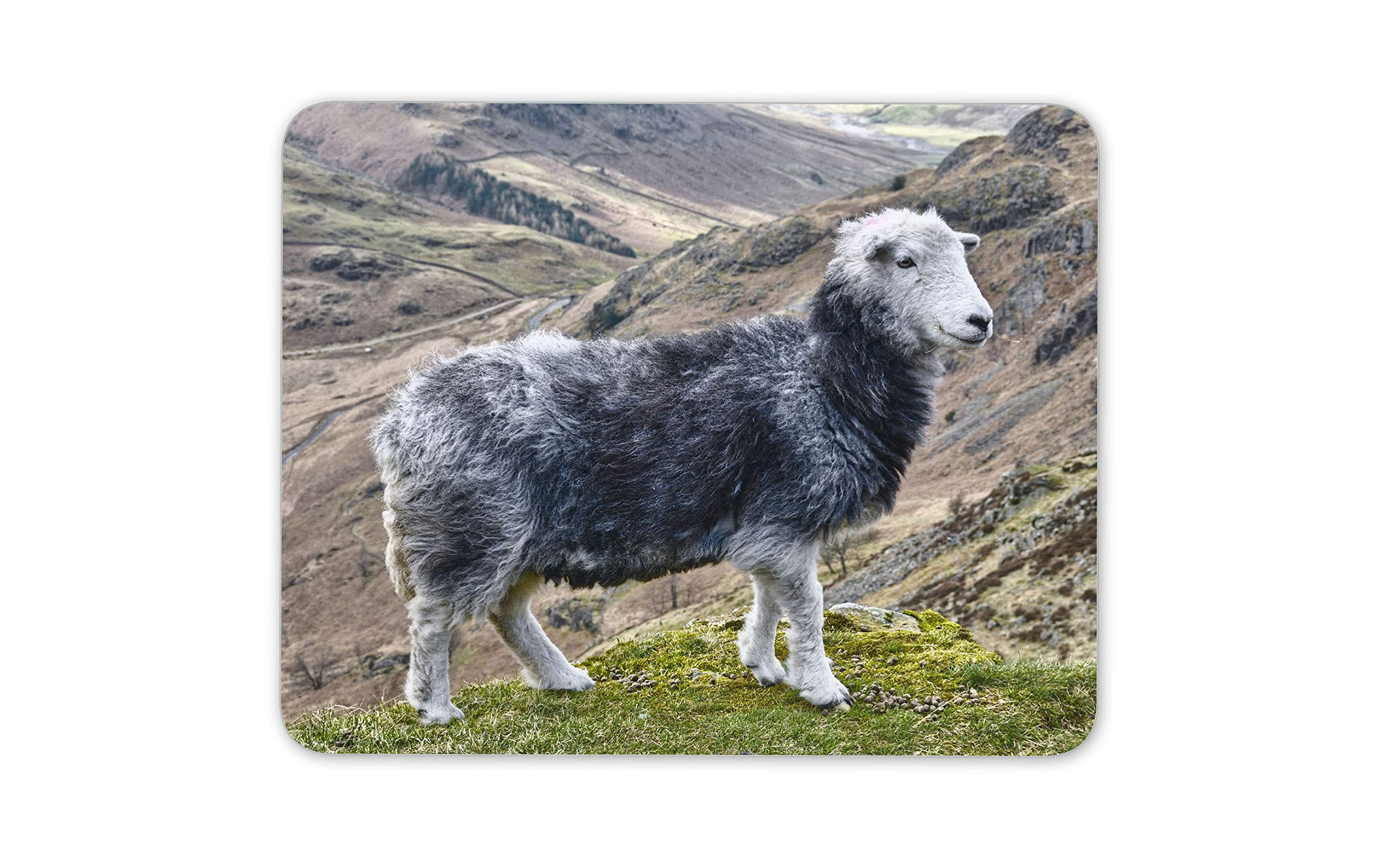 Destination Vinyl Ltd Beautiful Herdwick Sheep Mouse Mat Pad - Farm Farmer Wool Computer #12563