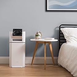 IRIS USA WOOZOO 2-in-1 Dehumidifier with Air