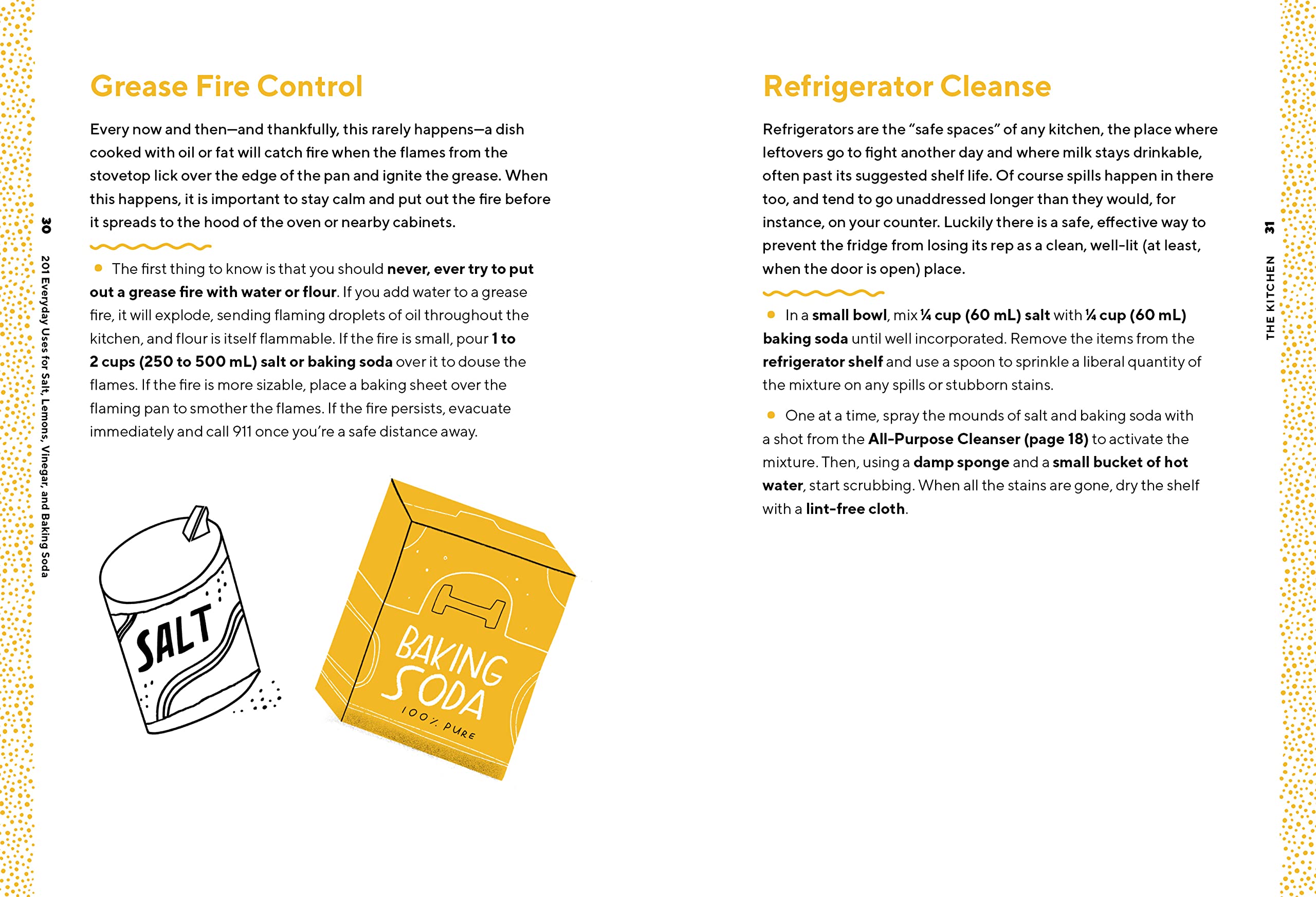 201 Everyday Uses for Salt, Lemons, Vinegar, and Baking Soda: Natural, Affordable, and Sustainable Solutions for the Home