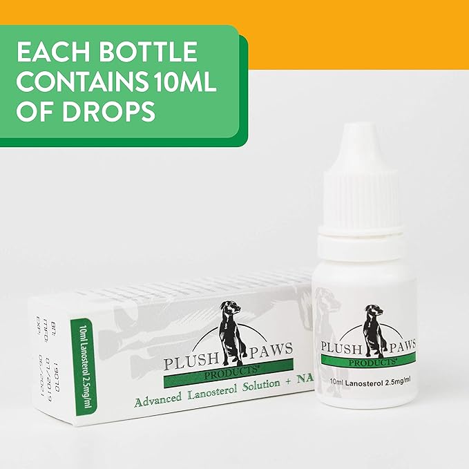 Buy Plush Paws Products Advanced Lanosterol Solution Nac Promotes Eye Clarity Online At Low Prices In India Amazon In