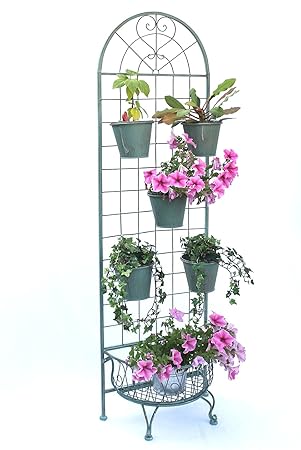 Kräuterregal Wand Küche