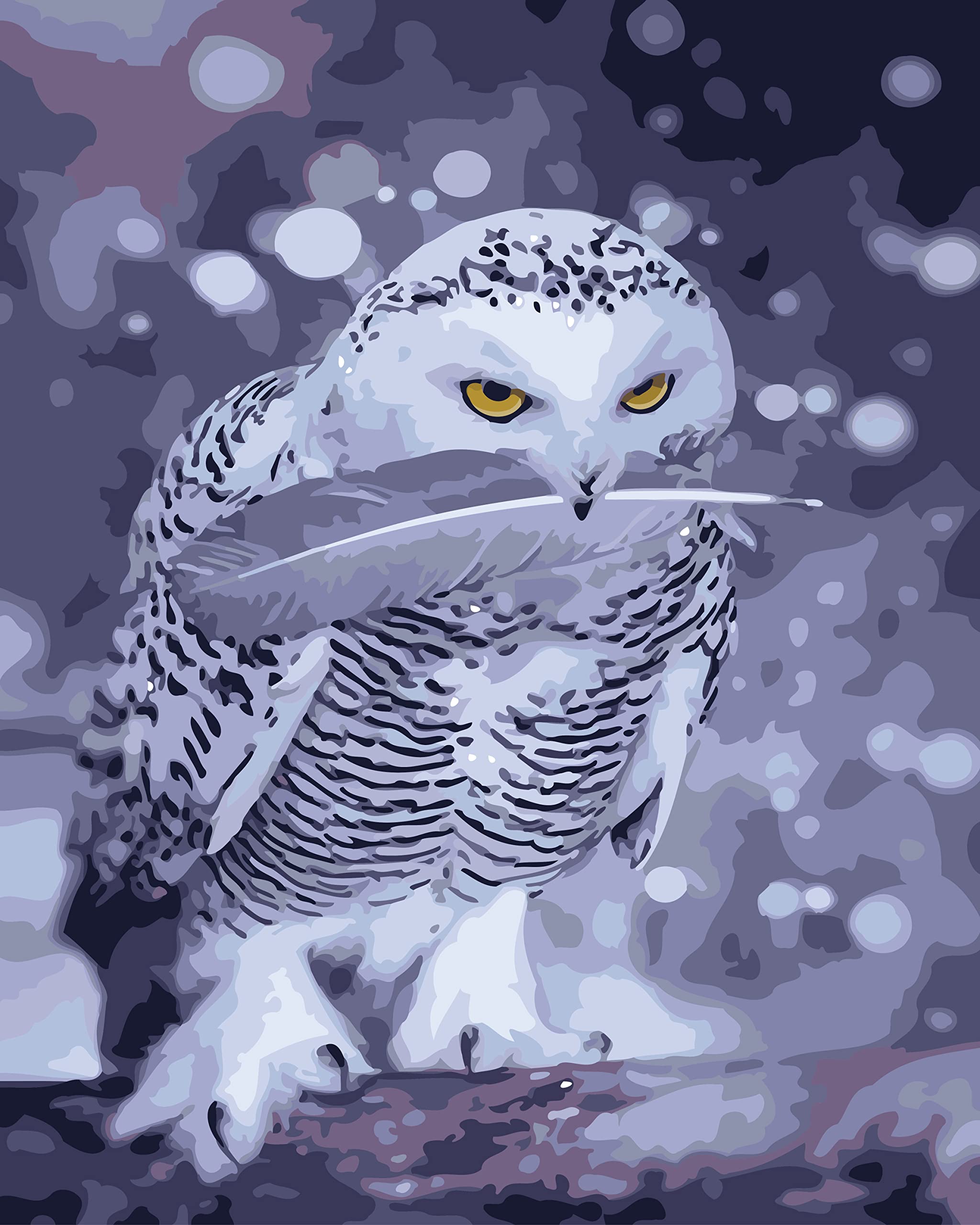 ABEUTY DIY Paint by Numbers for Adults Beginner Owl Adult Craft kit Arts for Home Wall Decor 16x20 inches Number Painting Canvas Oil Painting Kids and Adults