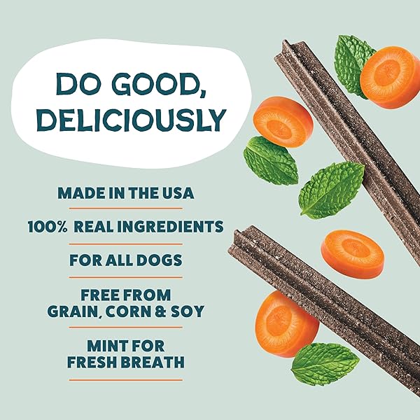 SHAMELESS PETS CARROT & MINT DENTAL CHEWS FOR DOGS, 32 CHEWS – NATURAL DOG TEETH CLEANING TREATS WITH FRESH BREATH BENEFITS | GRAIN-FREE DENTAL STICKS FOR SMALL, MEDIUM & LARGE DOGS