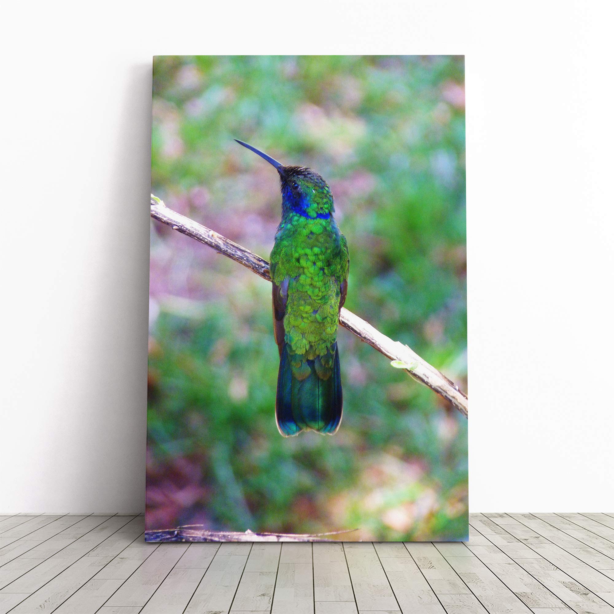 Hummingbird Bird Vol.3 Canvas Print | Gallery Wrapped 30mm Frame Wall Art | 20x14 inches | Ready to Hang | Modern Animals Picture | Living Room Bedroom Lounge Office