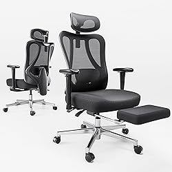 Hbada P3 Ergonnomic Office Chair with 2D Adjustable