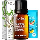 Gya Labs Australian Tea Tree Oil for Skin Hair Face & Toenails - 100% Natural Melaleuca Oil Tea Tree Essential Oil for Pierci