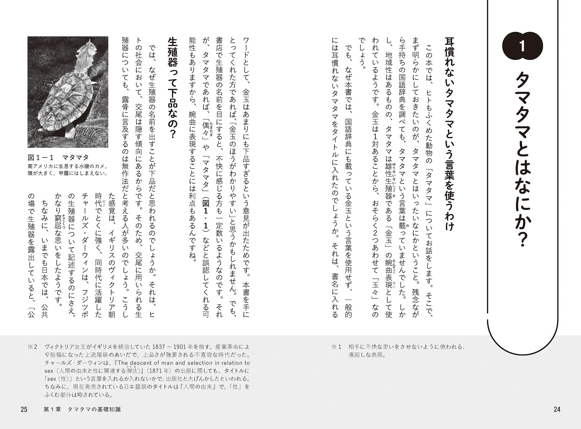 進化のたまもの どうぶつのタマタマ学 丸山 貴史 成島 悦雄 本 通販 Amazon