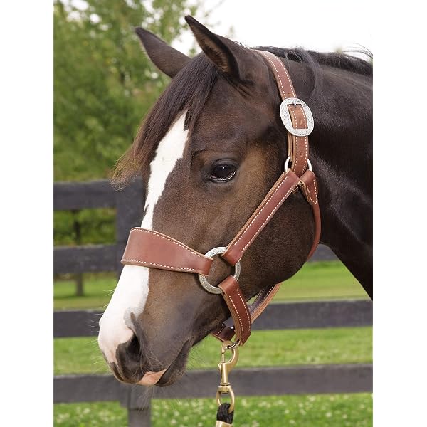 étriers Noirs 4.25 Pouces XE Étriers Équitation Acier Inoxydable 4,25 - Semelles Caoutchouc Antidérapantes, Flexibles Et Sécurisés Sécurité équitation 4.25 Pouces