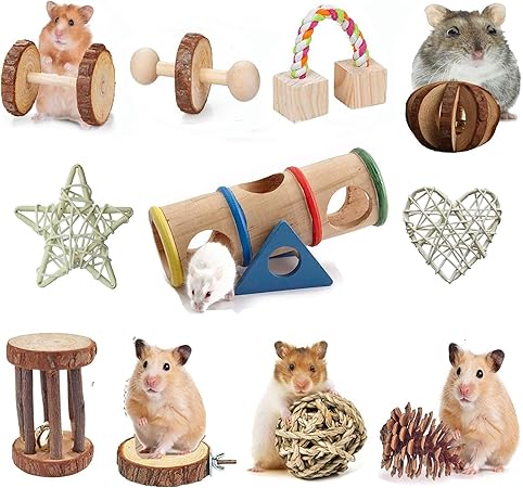 guinea pig toys amazon