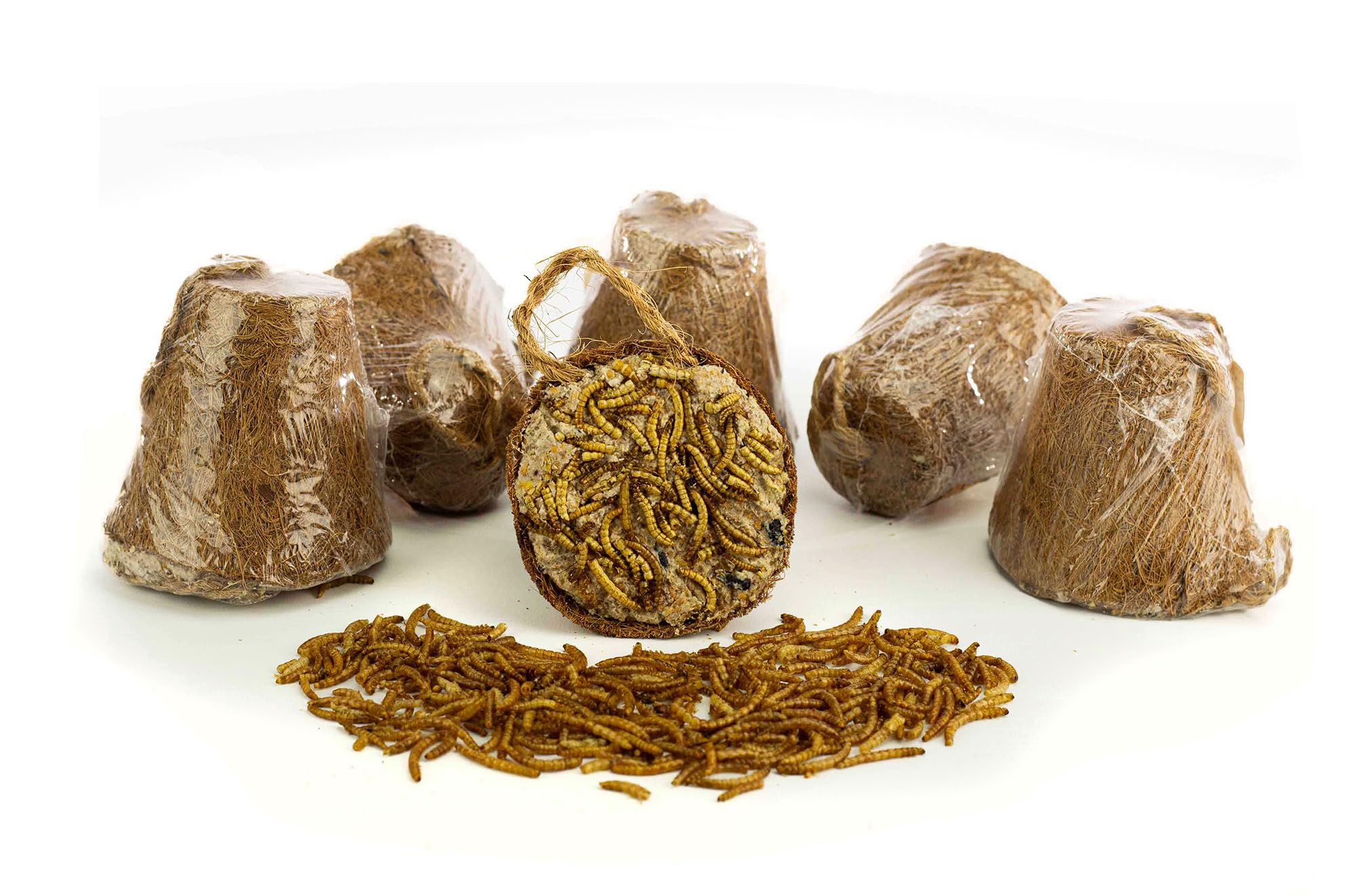 6 x Chubby Suet Filled Coconut Coir Fibre Bell- Mealworm, Wild Bird Coconut Halves Hanging, Coconuts Wild Bird Feeder Halves Hanging (Mealworms)