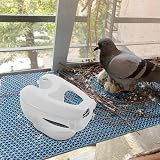 Pigeon Holder Feeding Fixer Parakeet Supplies for Racing Birds view 9