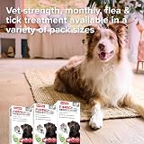 Beaphar FIPROtec COMBO for Large Dogs 20-40kg 3 Pipettes Vet Strength view 6