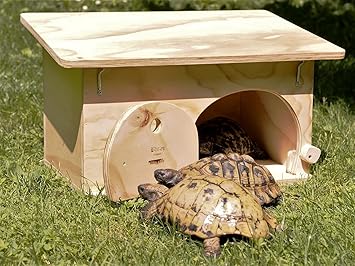 buy tortoise house